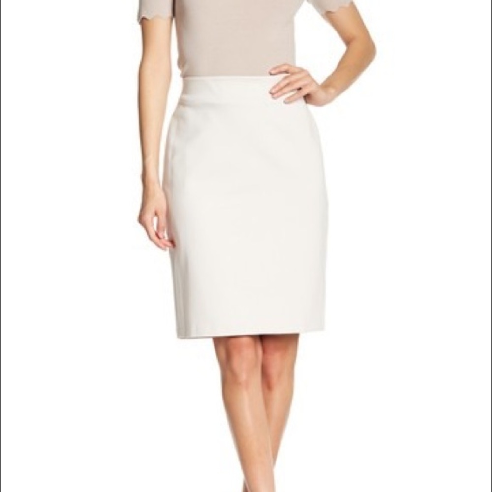 Premise Pencil skirt